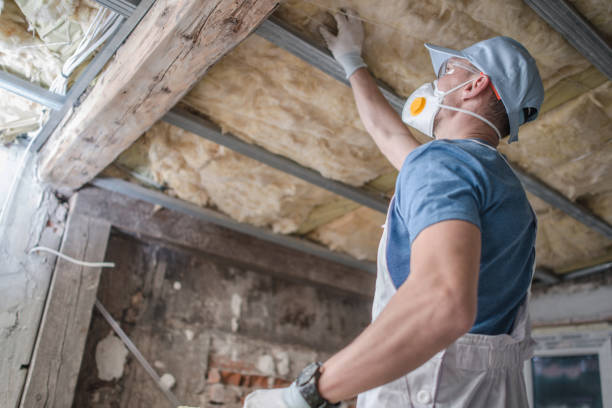 Best Insulation Installation Services in Waskom, TX